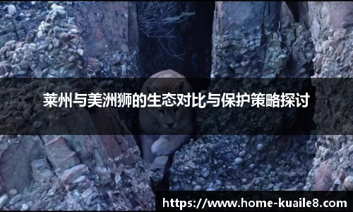 快乐八走势图表